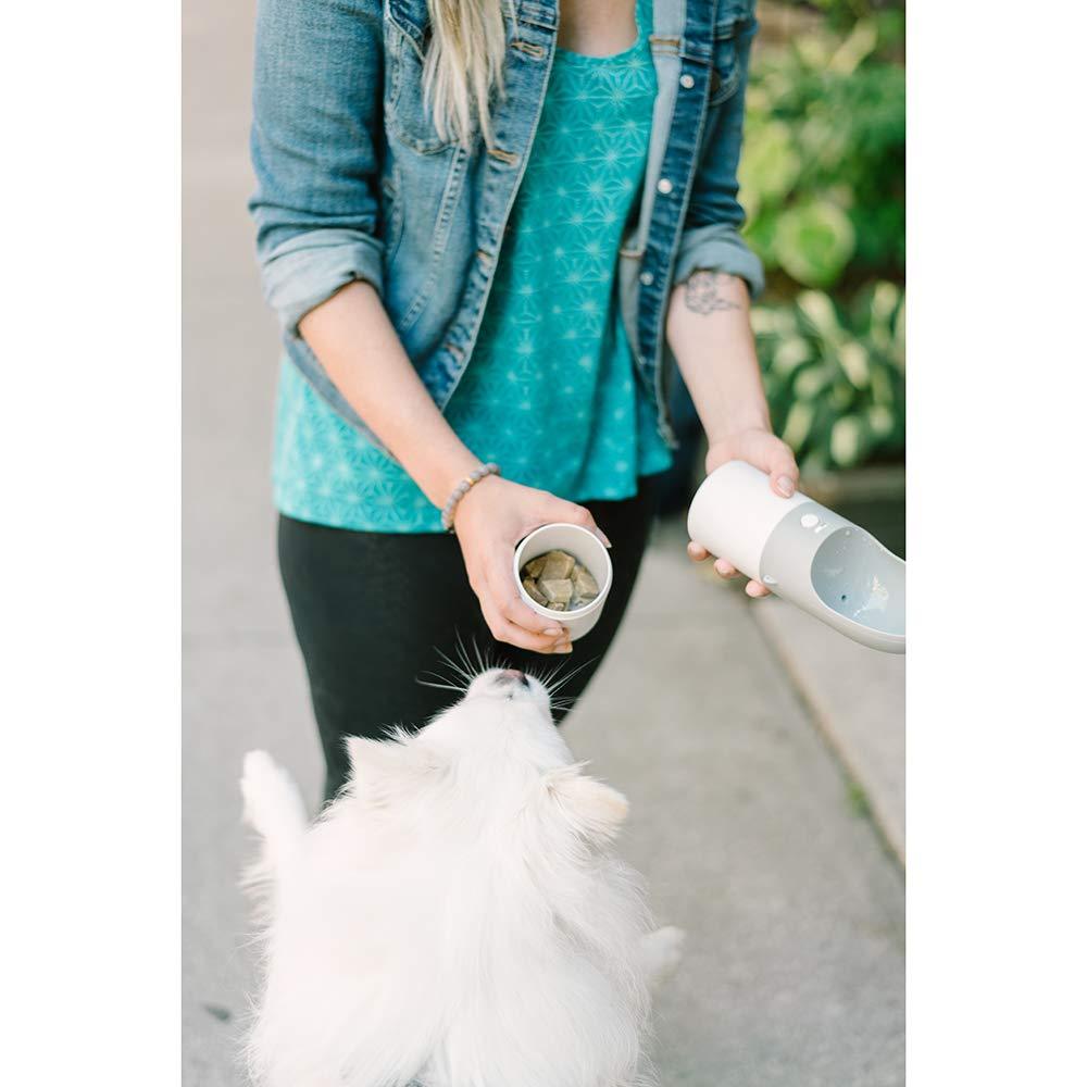 Leakproof Travel Dog Water Bottle