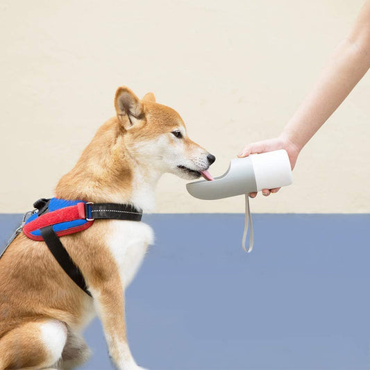 Leakproof Travel Dog Water Bottle