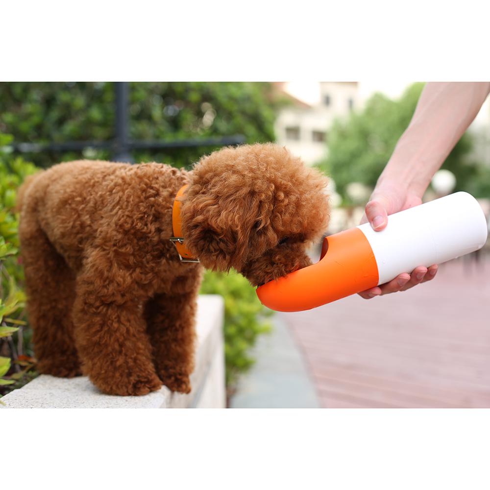 Leakproof Travel Dog Water Bottle